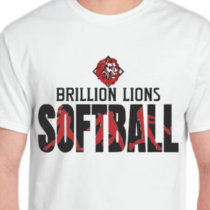 Softball Swing Batter - All Schools