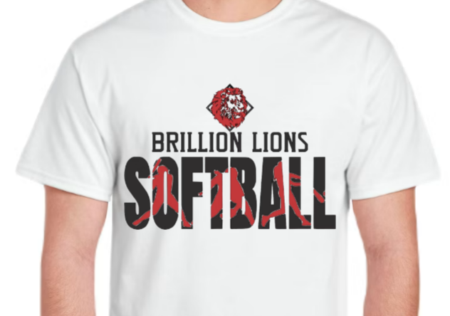 Softball Swing Batter - All Schools