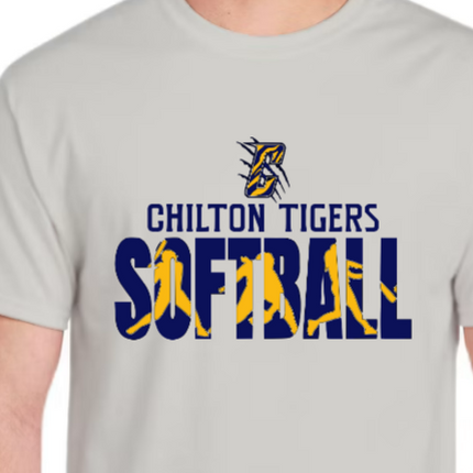Softball Swing Batter - All Schools