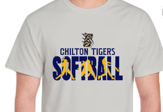 Softball Swing Batter - All Schools