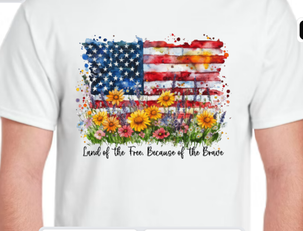 Land of the Free