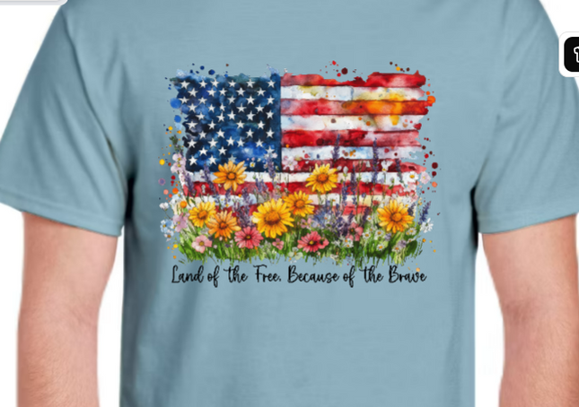 Land of the Free