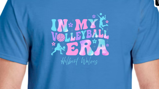 In my volleyball Era