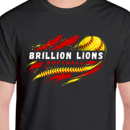 Brillion Softball Flash