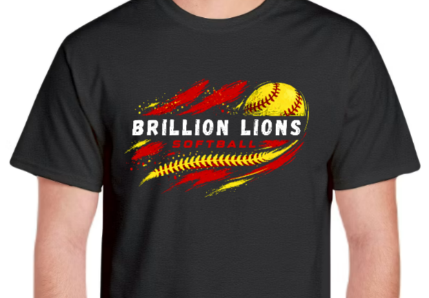 Brillion Softball Flash